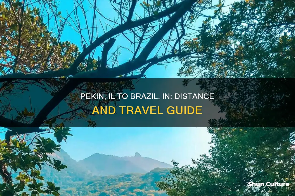 how far is it from pekin Illinois to brazil indiana