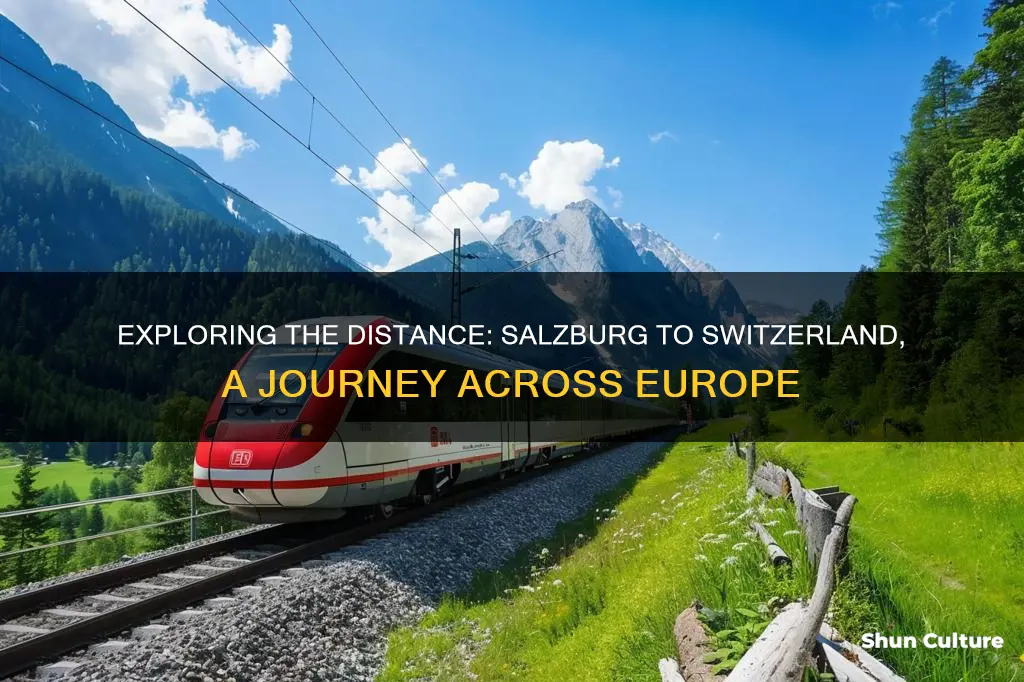 how far is it from salzburg austria to switzerland