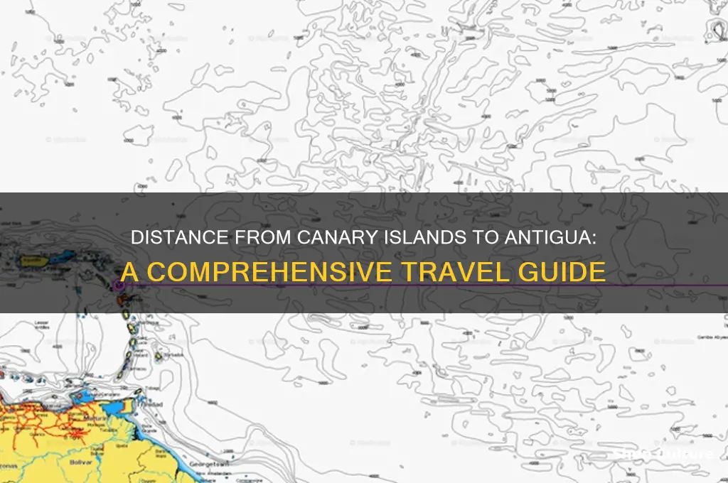how far is it from the canary islands to antigua