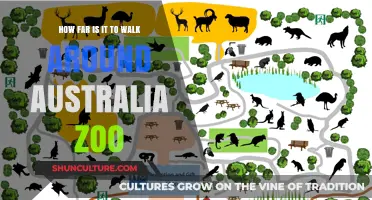Exploring Australia Zoo: A Walking Adventure