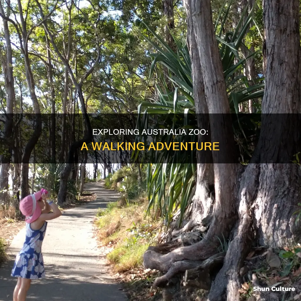 how far is it to walk around australia zoo