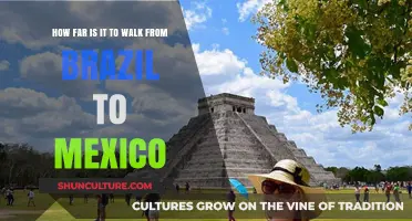 Walking from Brazil to Mexico: Distance, Challenges, and Adventure
