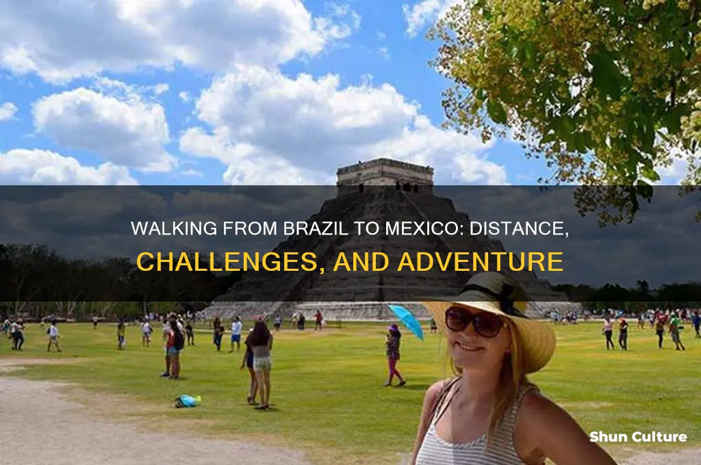 how far is it to walk from brazil to mexico