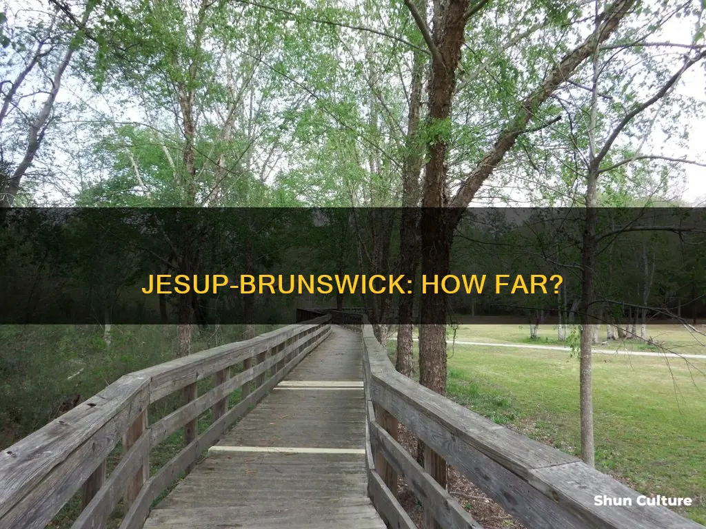 how far is jesup from brunswick