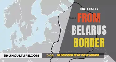 Kiev's Proximity to Belarus: Bordering on Danger?