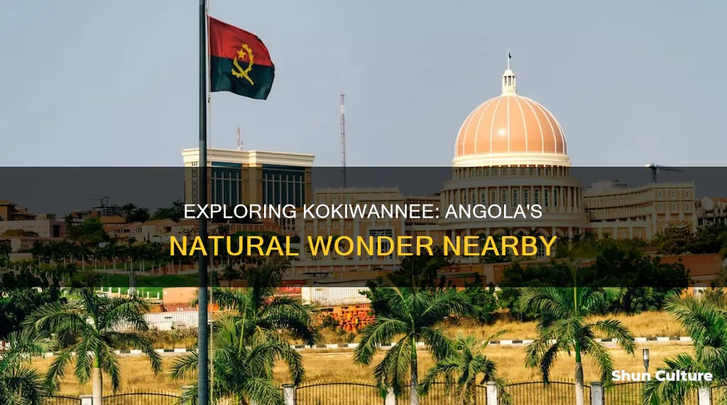 how far is kokiwannee nature preserve from angola in