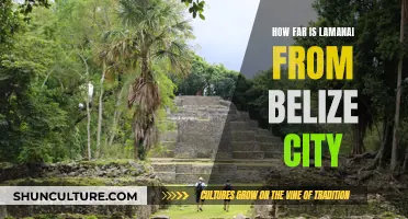 Lamanai: A Jungle Trek from Belize City