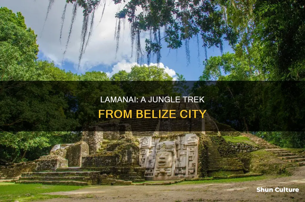 how far is lamanai from belize city