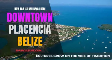 The Secret Beach: Laru Beya and the Journey from Downtown Placencia, Belize