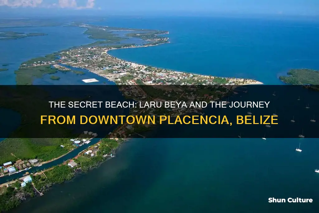 how far is laru beya from downtown placencia belize