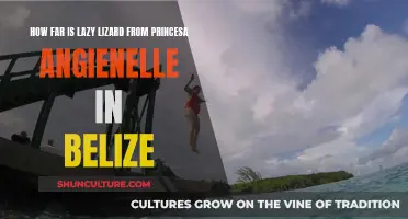 The Lazy Lizard's Trek: Unveiling the Distance to Princesa Angienelle in Belize