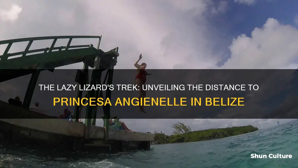 how far is lazy lizard from princesa angienelle in belize