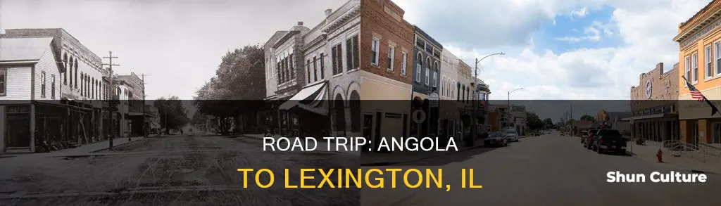 how far is lexington il from angola in