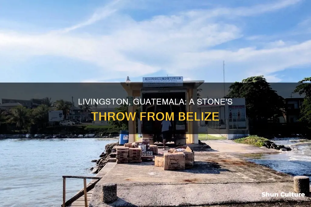 how far is livingston guatemala from belize