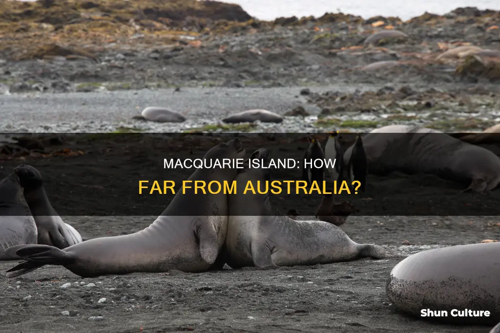 how far is macquarie island from australia