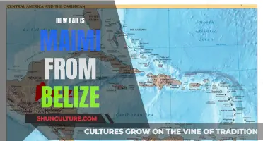 The Distance Between Miami and Belize: A Tropical Trek