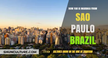 Maringá to São Paulo: Distance, Travel Time, and Tips