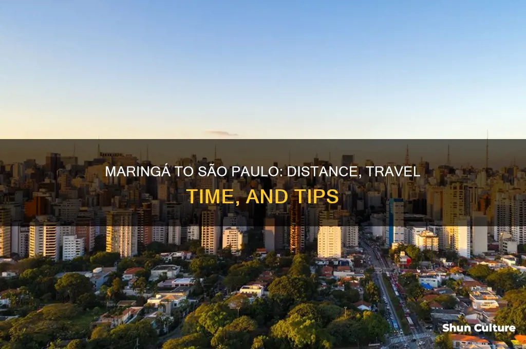 how far is maringa from sao paulo brazil