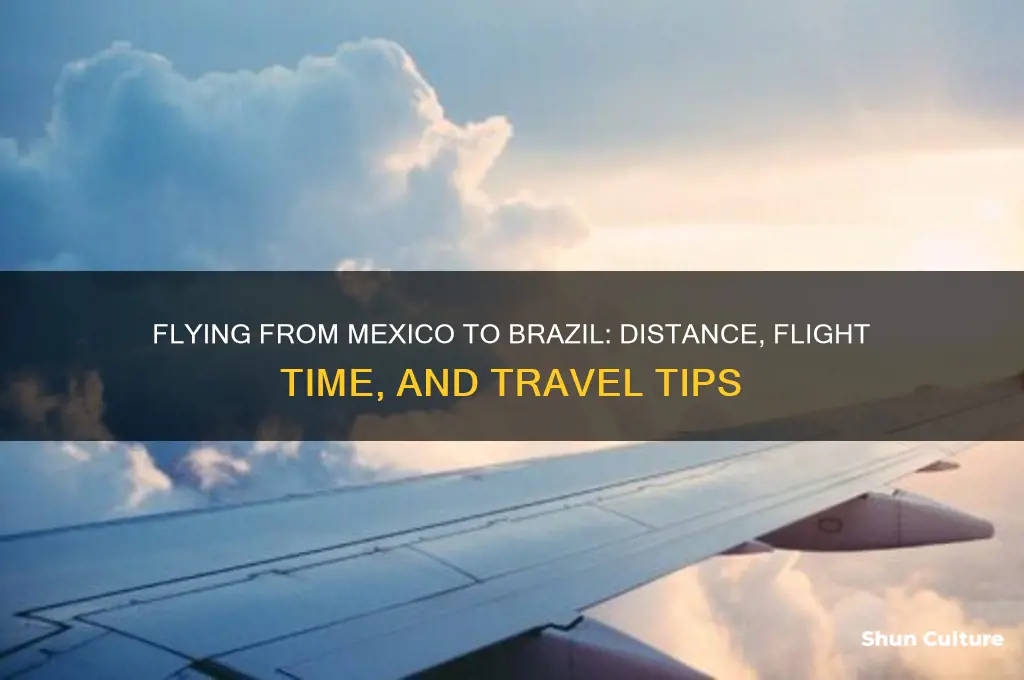 how far is mexico from brazil by plane