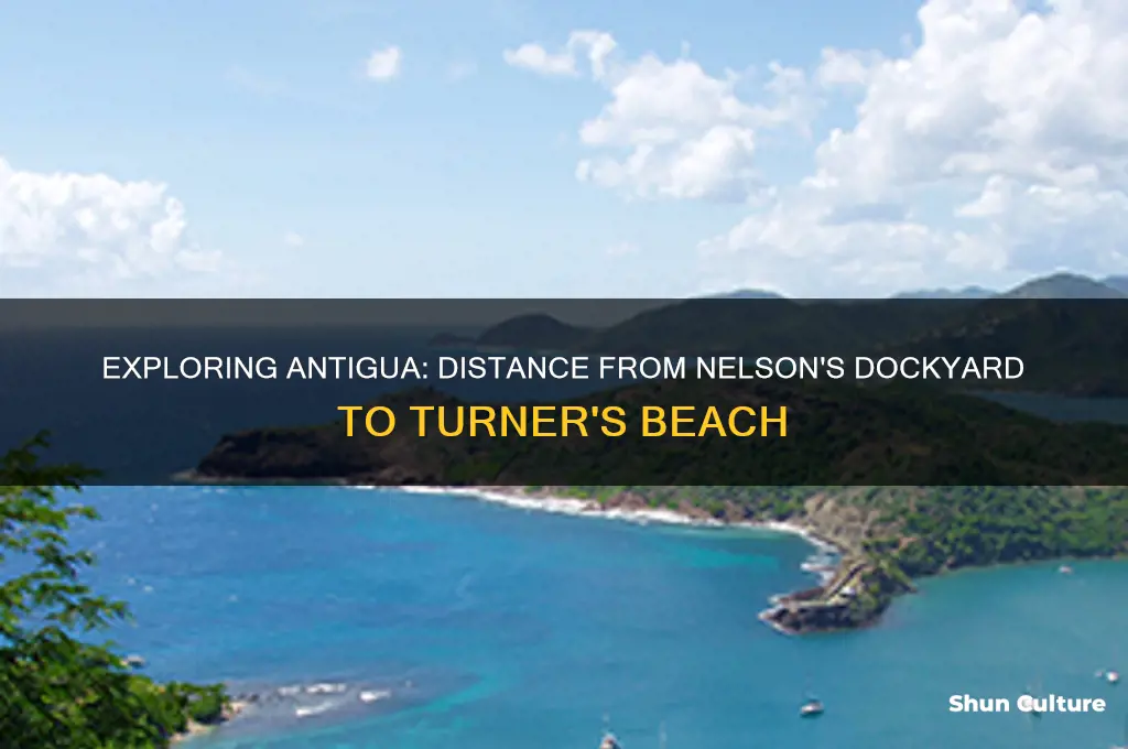 how far is nelsons dockyard antigua to turners beach