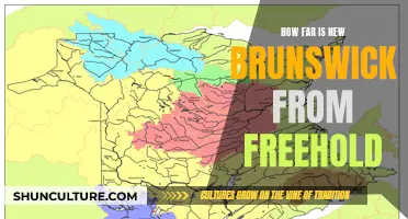 Freehold to New Brunswick: Travel Tales