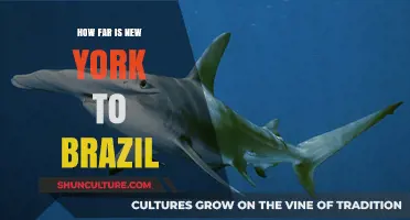 Exploring the Distance: New York to Brazil Travel Guide