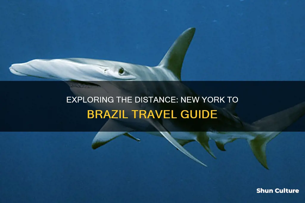 how far is new york to brazil
