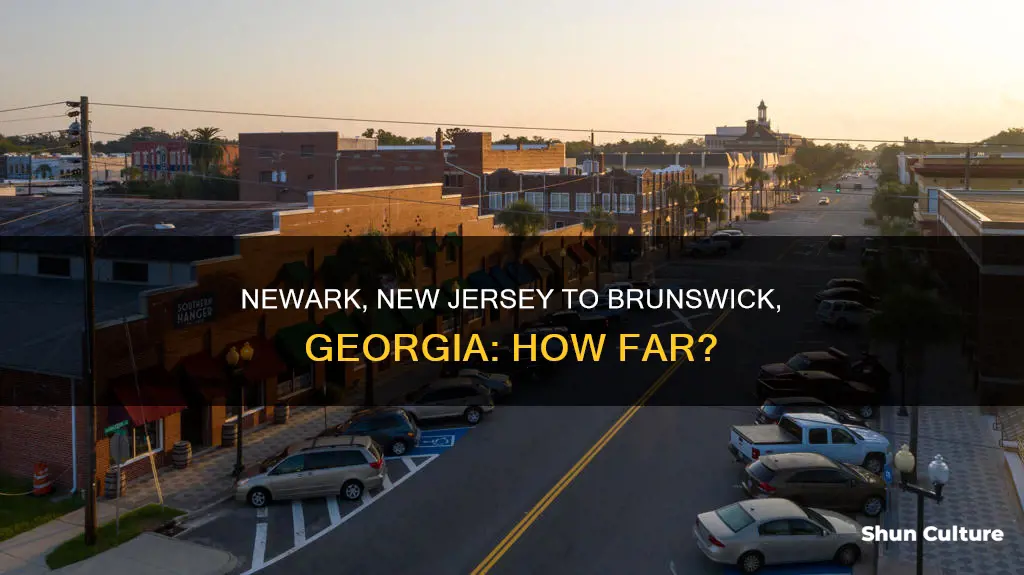 how far is newark nj from brunswick ga