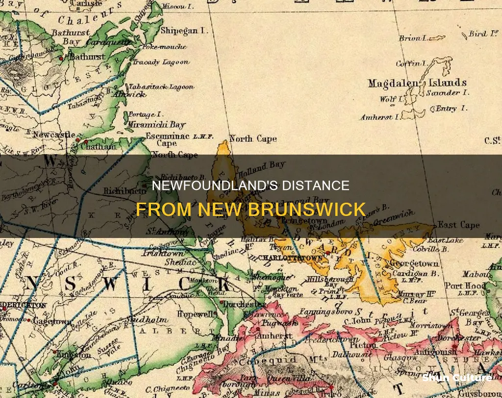 how far is newfoundland from new brunswick