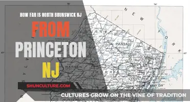 Brunswick to Princeton: Travel Distance