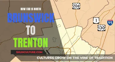 Brunswick-Trenton Distance: How Far?