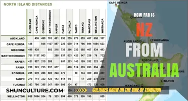Exploring the Distance: New Zealand and Australia's Proximity