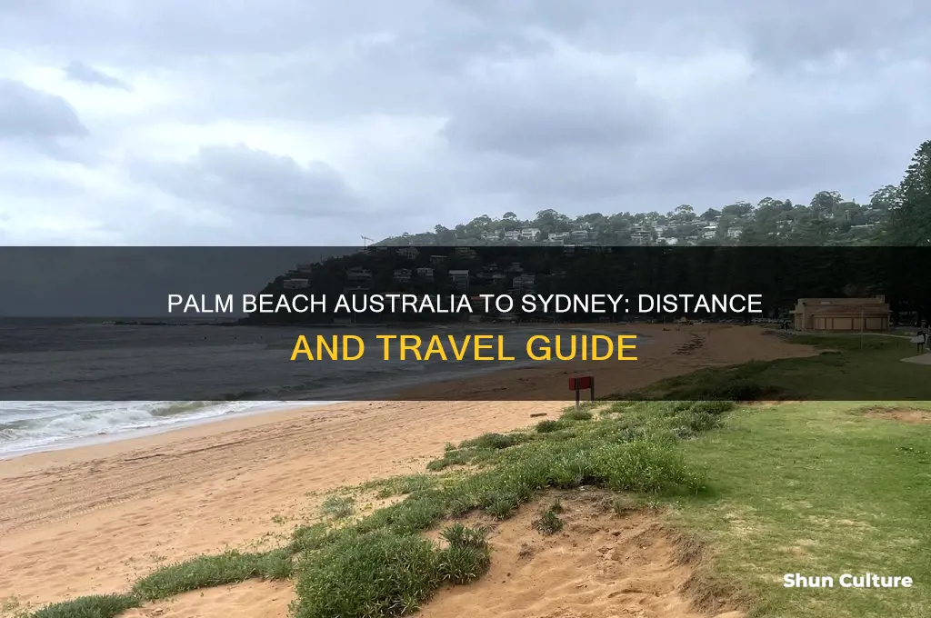 how far is palm beach australia from sydney