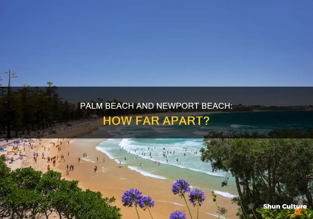 how far is palm beach from newport beach in australia