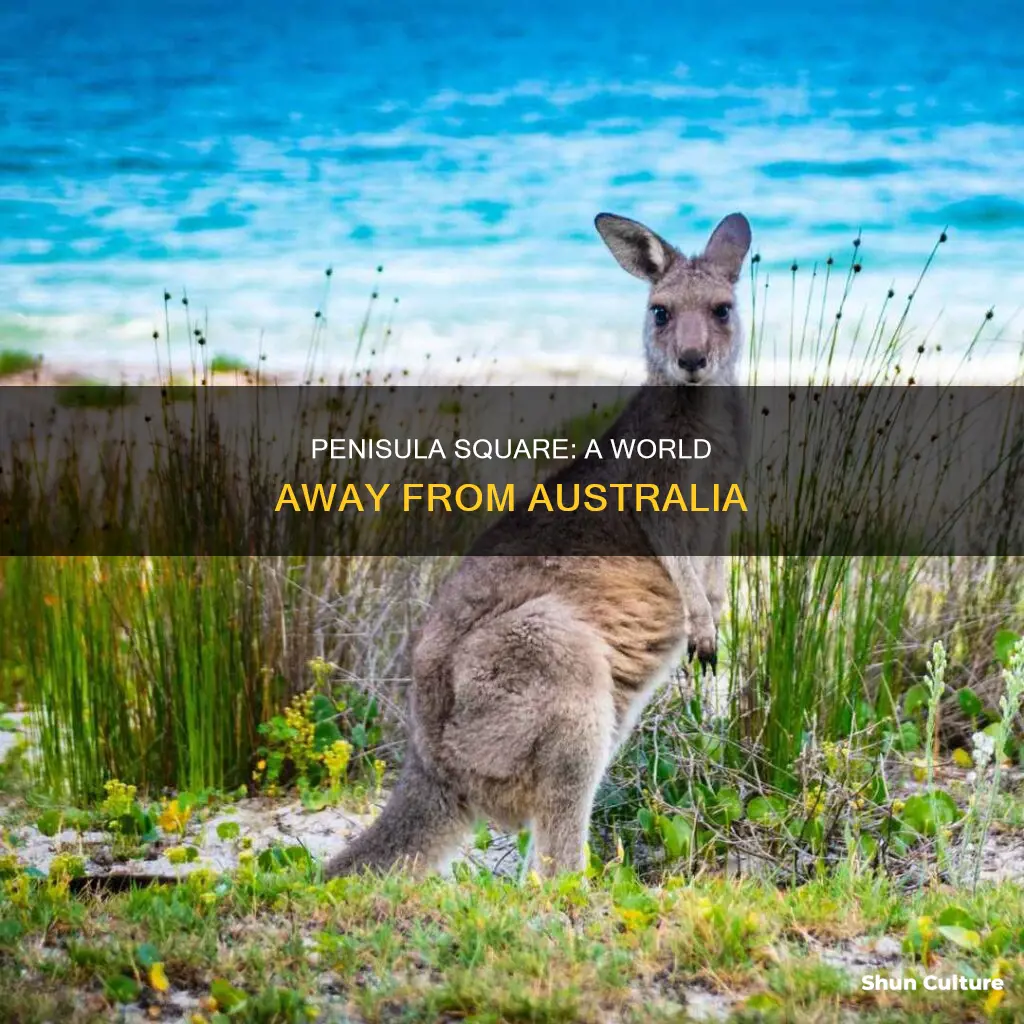 how far is penisula square from australia