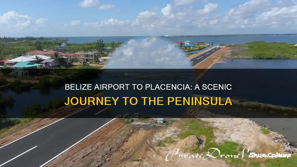 how far is placencia from belize airport