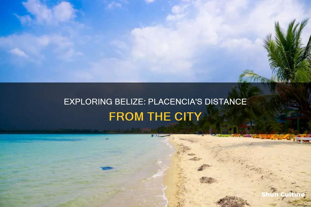 how far is placencia from belize city