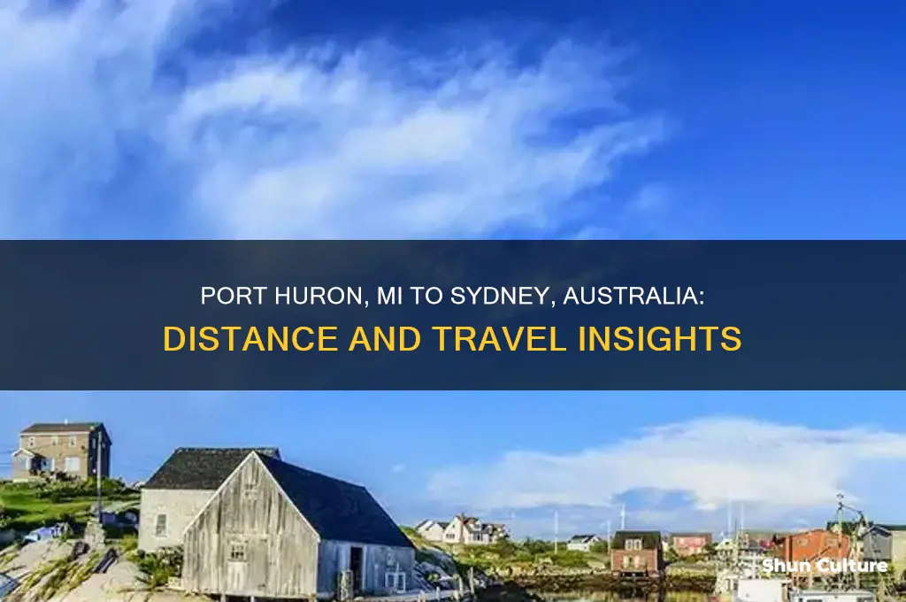 how far is port huron mi from sydney australia