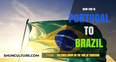 Exploring the Distance: Portugal to Brazil Travel Guide