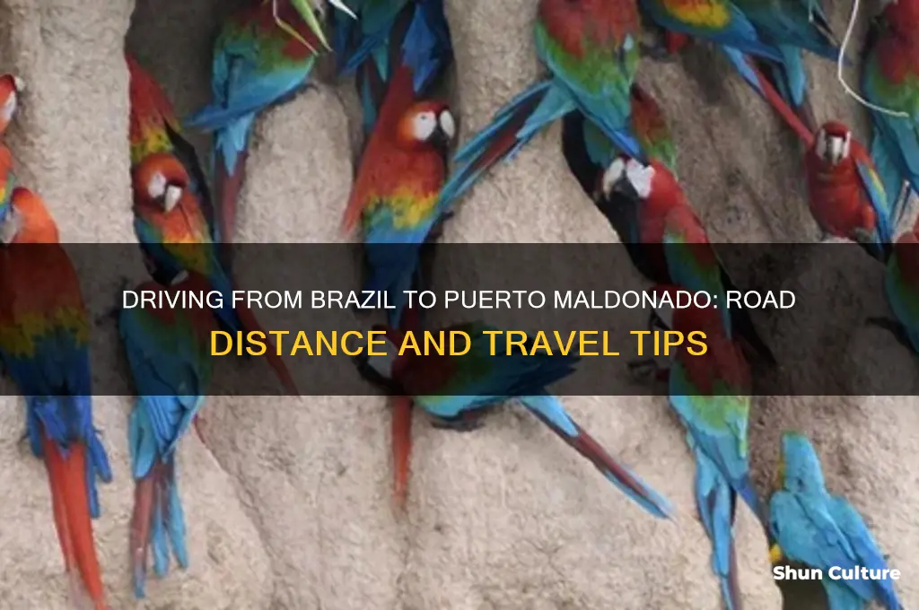 how far is puerto maldonado from brazil by road