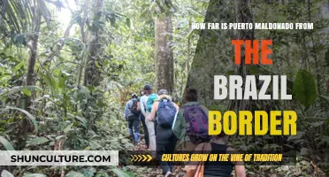Puerto Maldonado to Brazil Border: Distance and Travel Insights