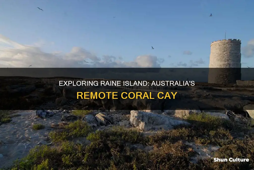 how far is raine island from mainland australia