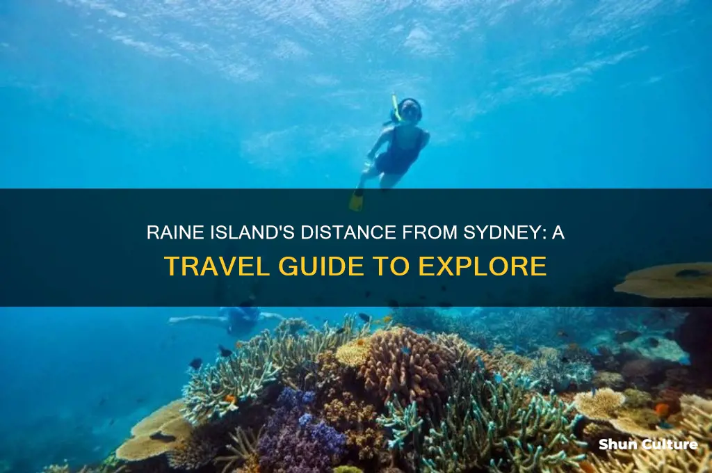 how far is raine island from sydney australia