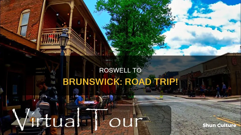 how far is roswell ga from brunswick ga