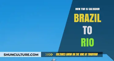 Salvador to Rio: Distance, Travel Time, and Best Routes