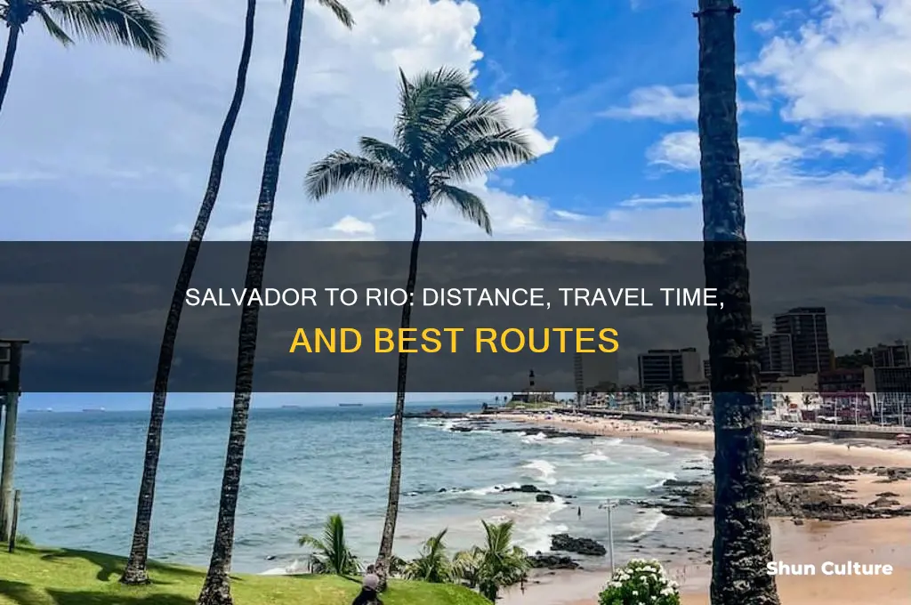 how far is salvador brazil to rio
