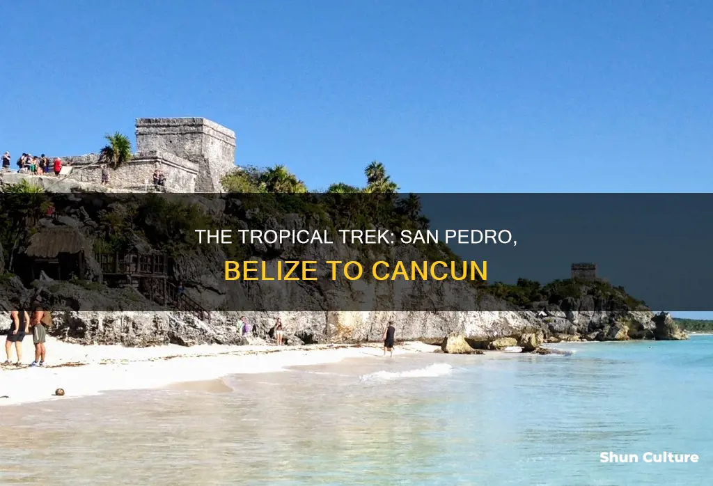 how far is san pedro belize from cancun