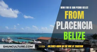 The Quick Hop from San Pedro to Placencia, Belize