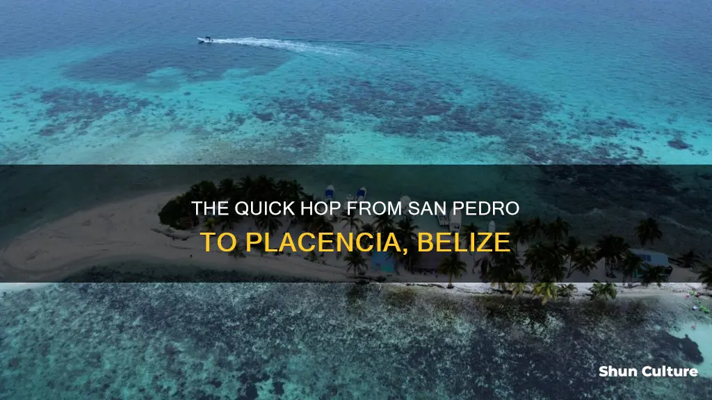 how far is san pedro belize from placencia belize