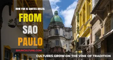Santos to São Paulo: Distance and Travel Tips for Visitors